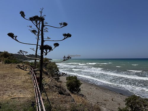 View  at Taverna Ta Filarakia in Rhodes