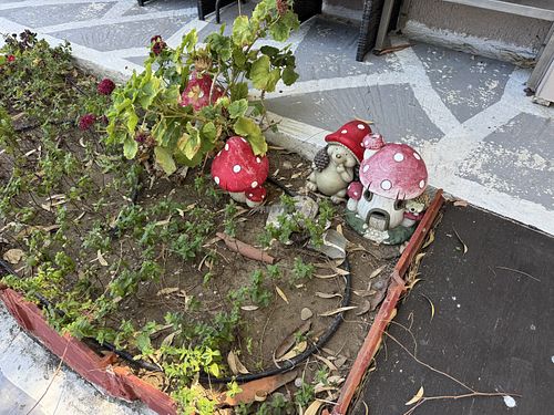 Plants  at Taverna Ta Filarakia in Rhodes