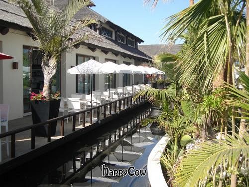 Image of Coffee and Creams Organics