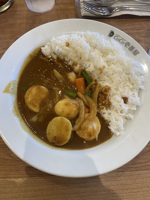 Vegetable curry  at CoCo Ichibanya in San Diego