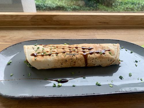 Falafel sandwich at Mango Indian Restaurant in Heidelberg