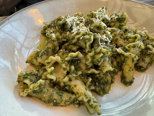 Campanelle al Pesto  at goatlandia kitchen in Sebastopol