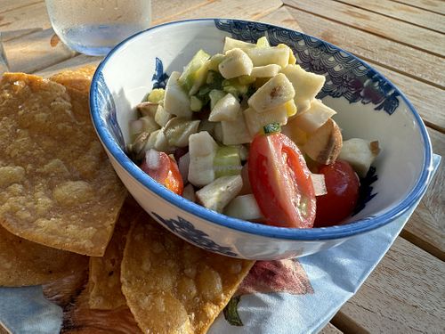 Mushroom ceviche with leche di tigre  at goatlandia kitchen in Sebastopol