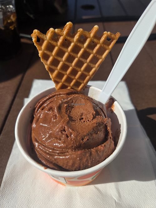  at Bright Ice Scoop Shop - Wellen Park in Venice