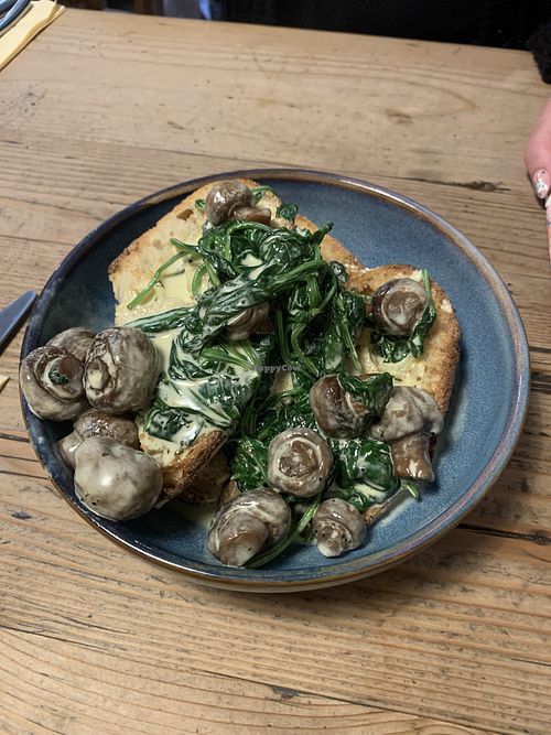 Creamy mushrooms on sourdough   at The Forest in Tamworth