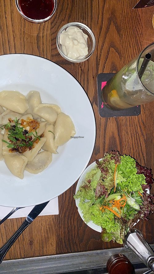   at Tachles in Vienna
