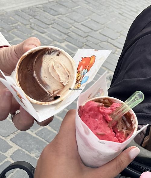   at Velocità Brașov in Brasov