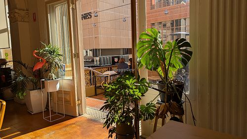 Patio (August 2025) at Two-Bit Villains in Adelaide