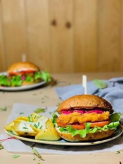 Fried cheese burger with fries at Vegetarianska Restauracia in Martin