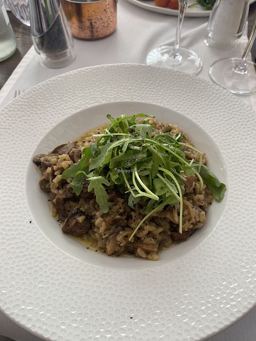 Mushroom risotto   at Quayside in Jersey