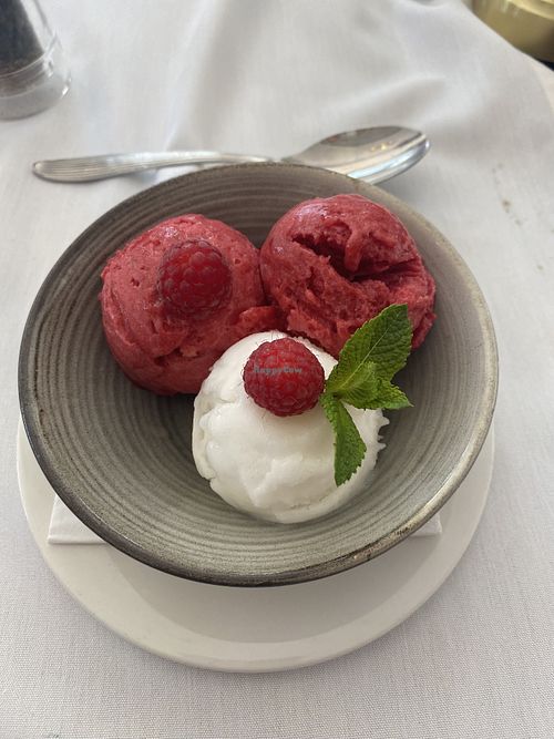 Mango and raspberry sorbet   at Quayside in Jersey