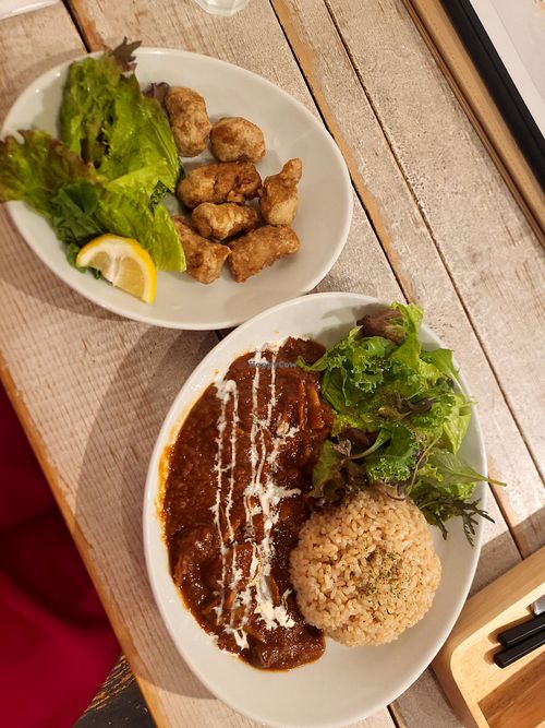 Hayashi rice and a side of vegan karaage at AIN SOPH.Journey in Tokyo