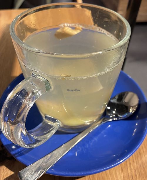 Ginger-lemon tea   at Haferkater - Hbf Münster in Muenster