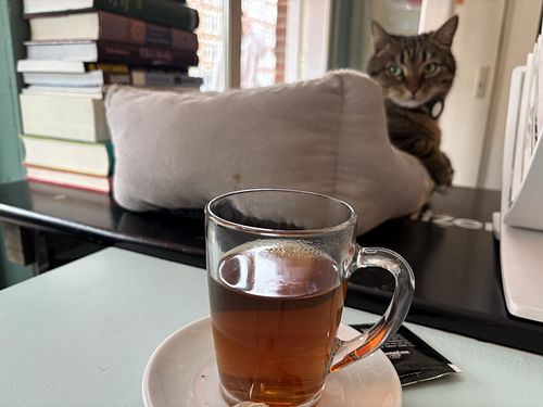   at Motion Coffee  in Amsterdam