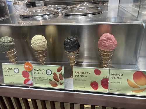 A couple of their vegan flavors  at Venchi Ginza Store in Tokyo