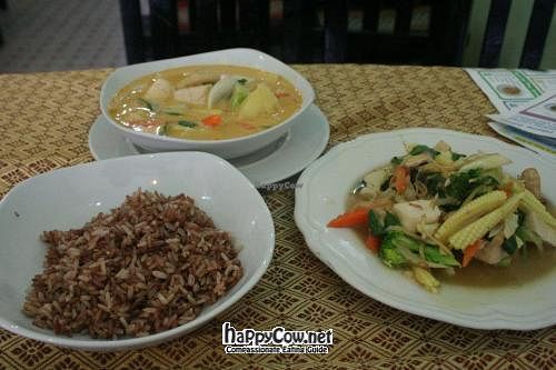 Best red curry ever! at May Kaidee's Vegetarian Restaurant - Samsen in Bangkok