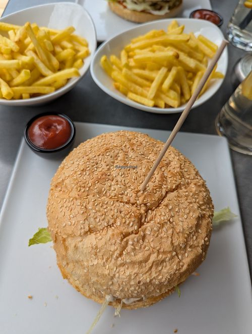 Vegan Burger and fries at Spaso's BBQ in St Johann Im Pongau