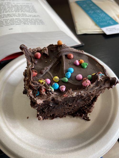 Brownie  at Purrista Cat Cafe in Erie