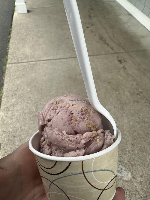 acai berry crumble vegan ice cream  at Moo's Place Homemade Ice Cream in Derry