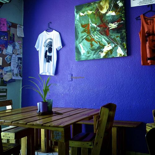 Lots of great deep-fry food with salad and fries. Also great juices and vegan deserts.  at La Hoja Verde in Tulum