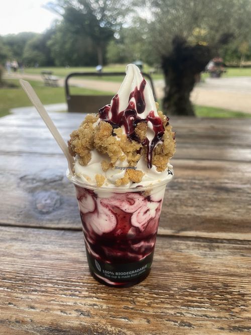 Vegan soft serve!  at The Secret Garden Cafe in Cardiff