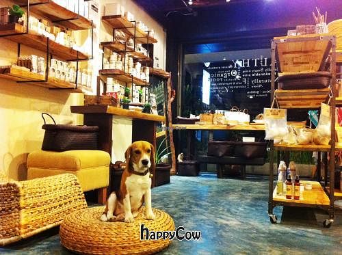 My (dog) little corner at Samui Health Shop by Lamphu in Koh Samui