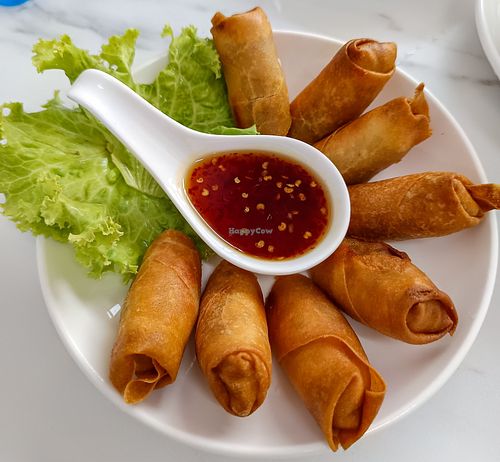 Spring Rolls at Vegan House Pattaya in Pattaya