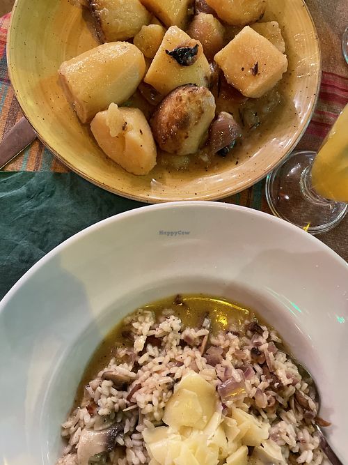 Roast potatoes and mushroom risotto  at The Olive Tree   in Zakynthos