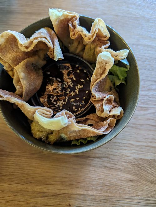 Gyoza at Project Vegan in Koblenz