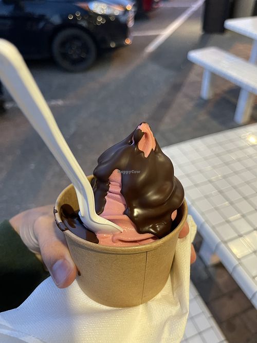 Raspberry sorbet  at Bar Laitier St-Georges in Saint-georges