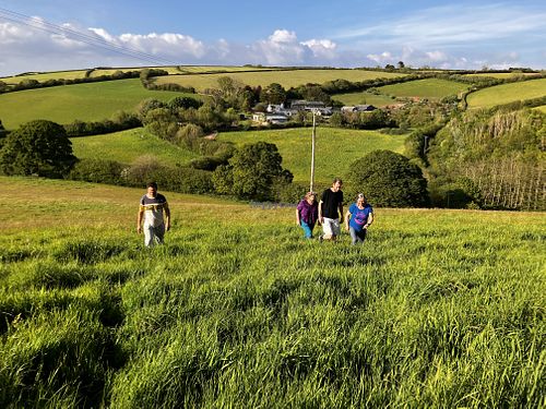   at Haye Cornwall – Vegan-friendly holiday cottage with rescue animals in 25 acres in Liskeard