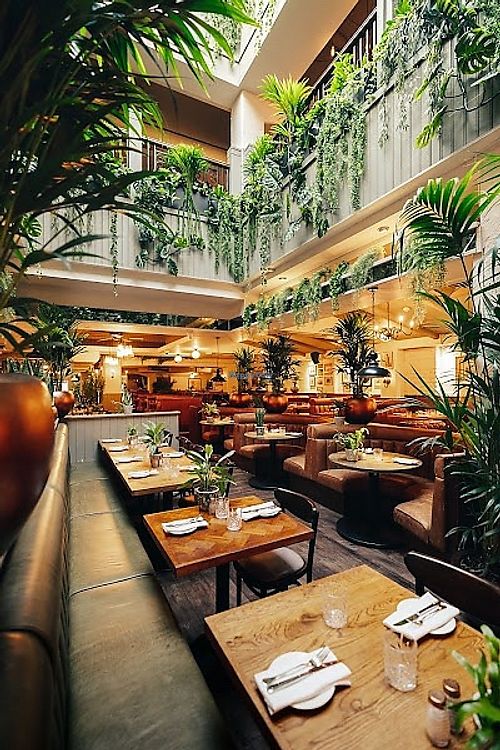 Redefined Steak  at Mr. White's in London