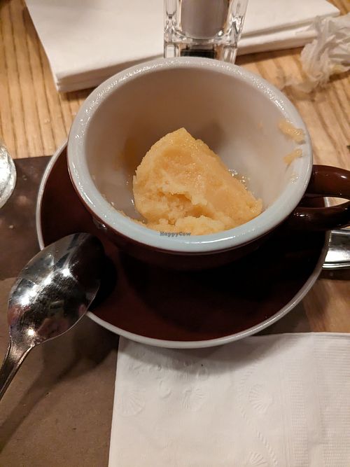 Cantaloupe sorbet at Molly's in Mount Carroll