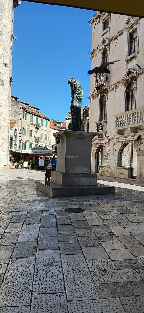 View from bar stools at Coffee Biljka in Split