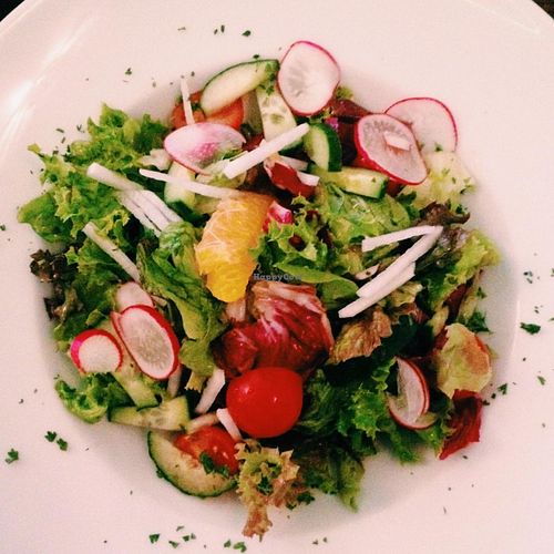 the basic salad (the dressing is very nice) at PRJKT23 in Hamburg