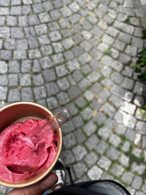 Veganes Sauerkirscheis  at Amici - Gelato Cafè  Bar in Wertheim