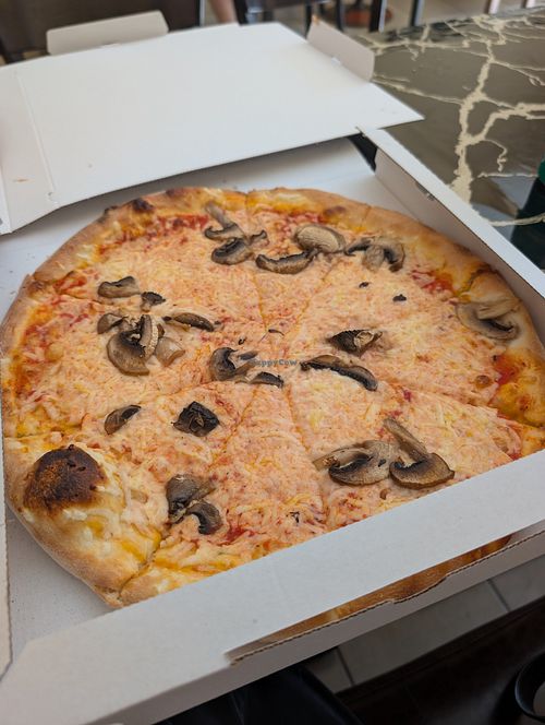  at Pizza Sisi in Vienna