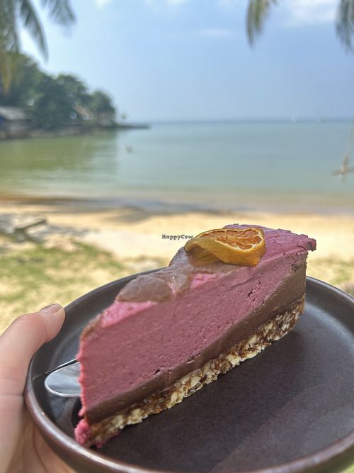 Raw vegan cheesecake   at Orion Cafe in Koh Phangan
