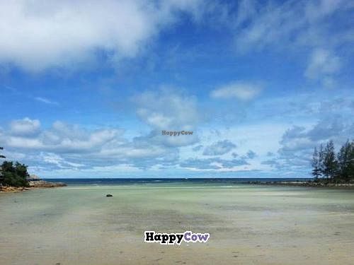 lovely beach view in the front of cafe at Orion Cafe in Koh Phangan