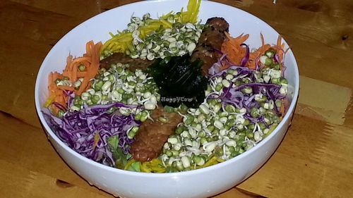 Buddha bowl at Orion Cafe in Koh Phangan