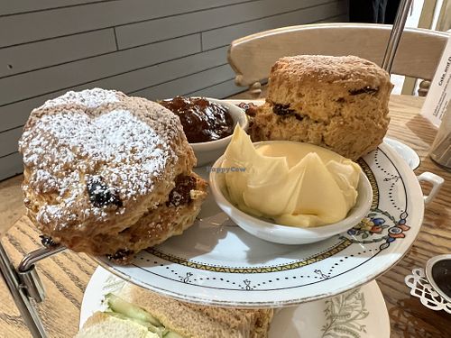 Fruit Scone and Jam  at Hatters Tea Shop in Cromer