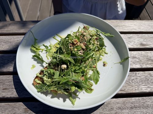 Avocado toast  at Zoku in Vienna