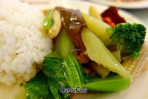 Bodhi - SM Makati at Bodhi - SM Makati in Metro Manila