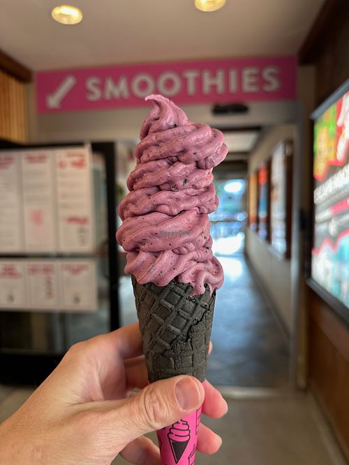 Blueberry cashew-based ice cream at Hundo-P - The Smoothie Bar in Whistler