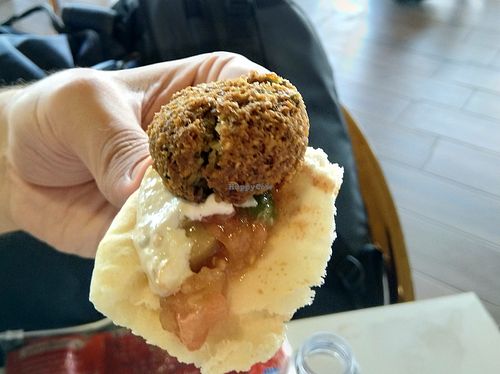 Image of QAIA - Hamada