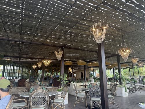   at Plant Bistro in Ubud