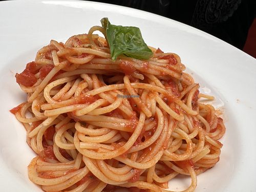 spaghetti  at Spaghetti House - Holborn in London