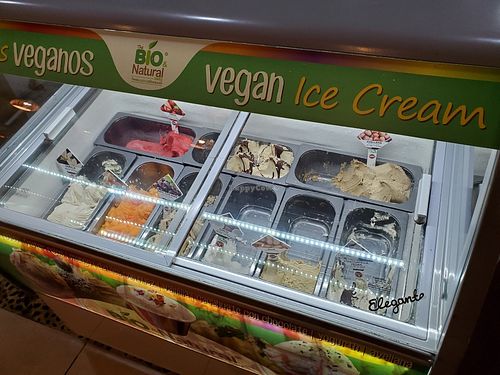 Vegan ice cream at Bio & Natural - Con Constituyentes in Playa Del Carmen