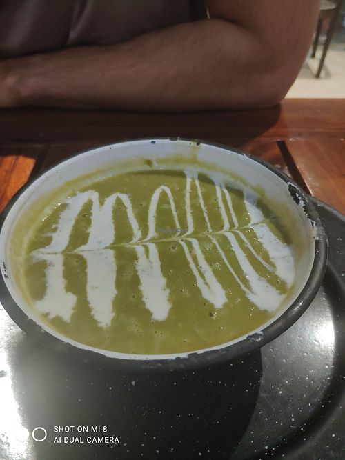 Soup of the day at Bio & Natural - Con Constituyentes in Playa Del Carmen