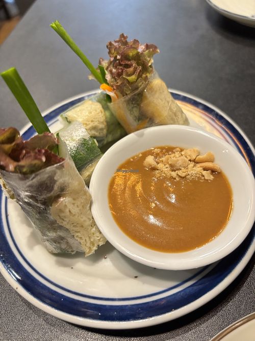 Raw vegan spring rolls ! Yum!!  at S Vietnamese Cuisine in Kyoto